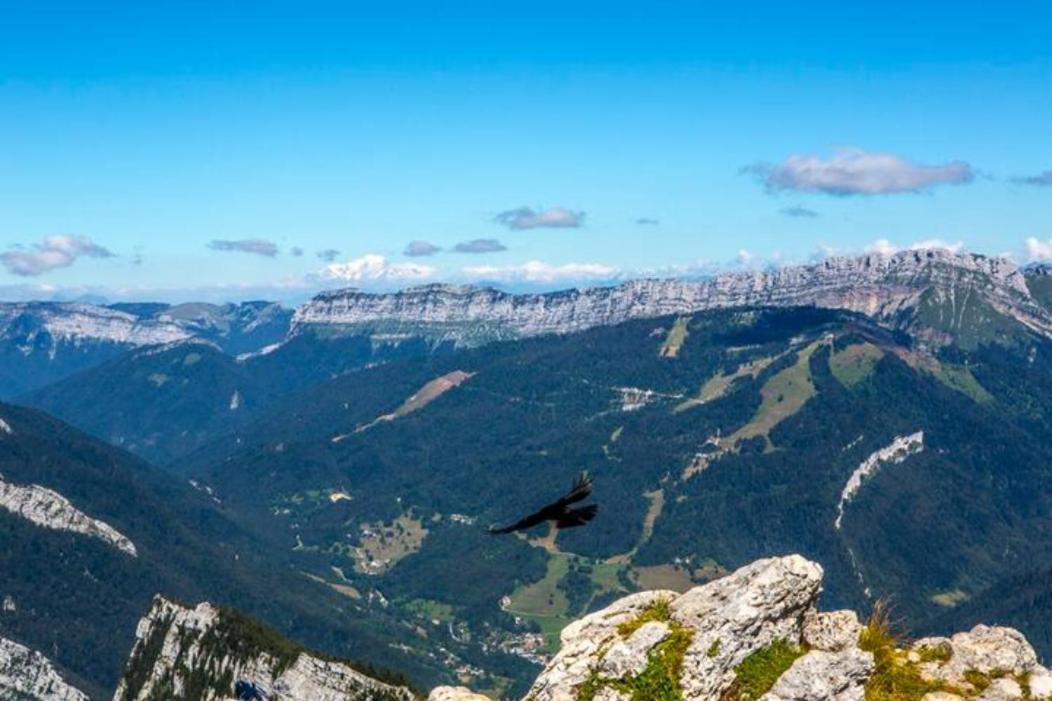 Le Mas Dauphinois Le Grand-Lemps Zewnętrze zdjęcie